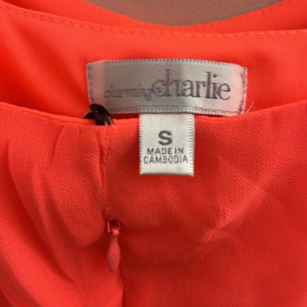 CHARMING CHARLIE LEOPARD MAXI DRESS - Picture 5 of 5
